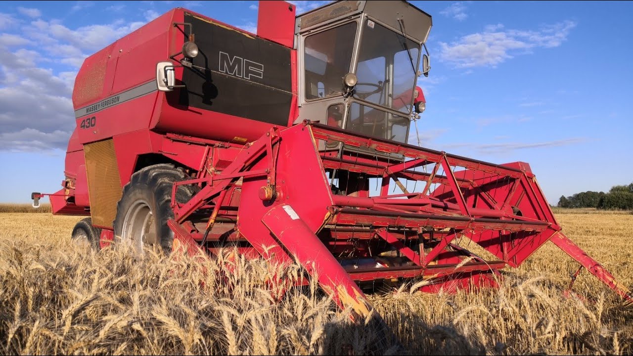 Уборка озимой пшеницы 60ц/га мини комбайн Massey ferguson 430