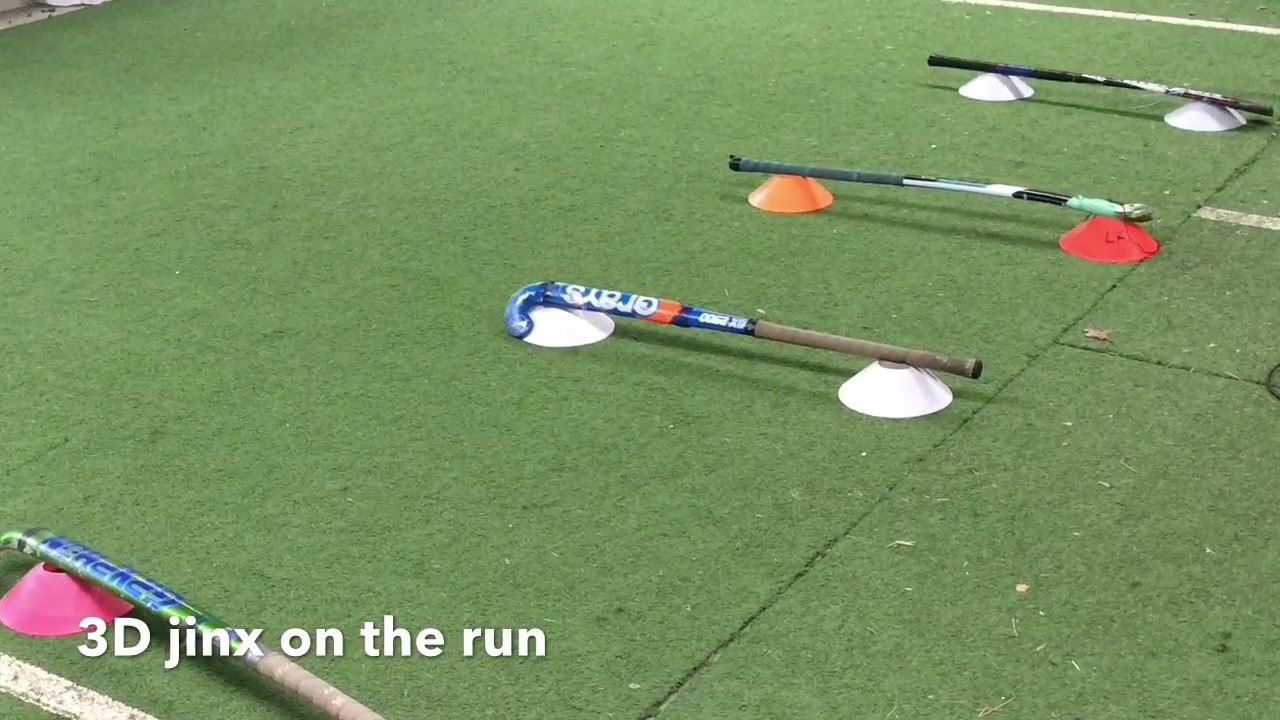Field Hockey 3D Skills