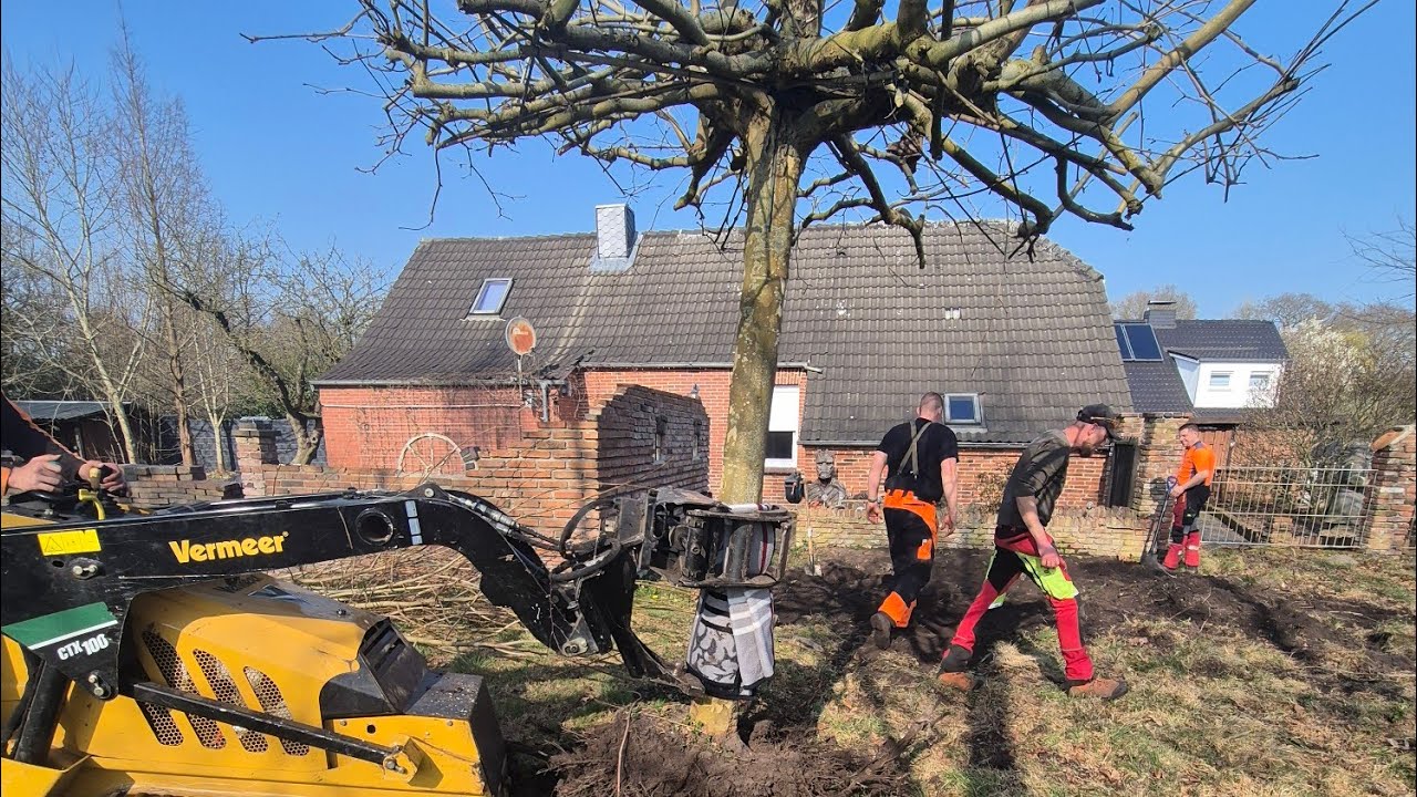 Kann mir das bitte jemand erklären? Unglaublich,was hier passiert! Warum fällt ihr überhaupt Bäume?