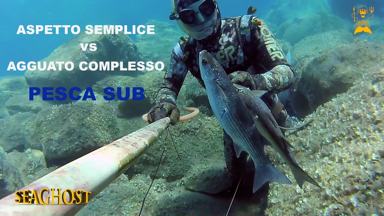 Pesca Sub: Aspetto Semplice e Agguato Complesso in bassofondo