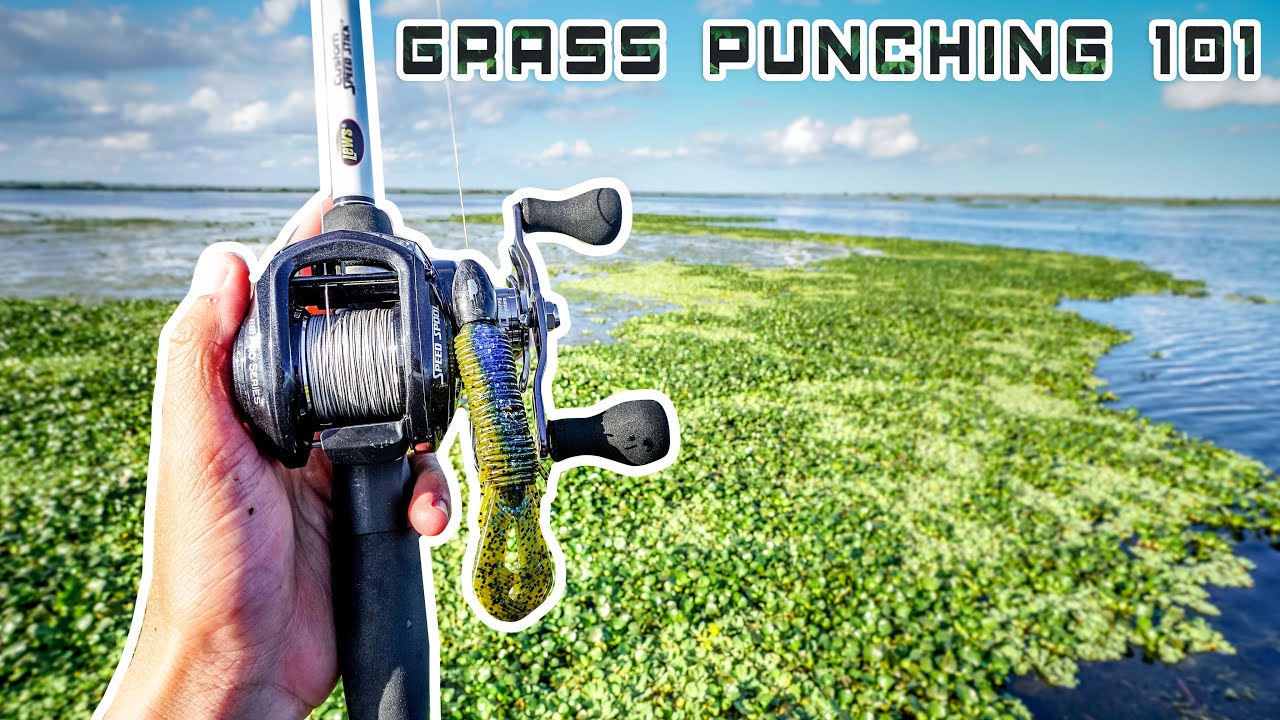 Punching Matted GRASS For BASS 101 (ONLY Video You Need)