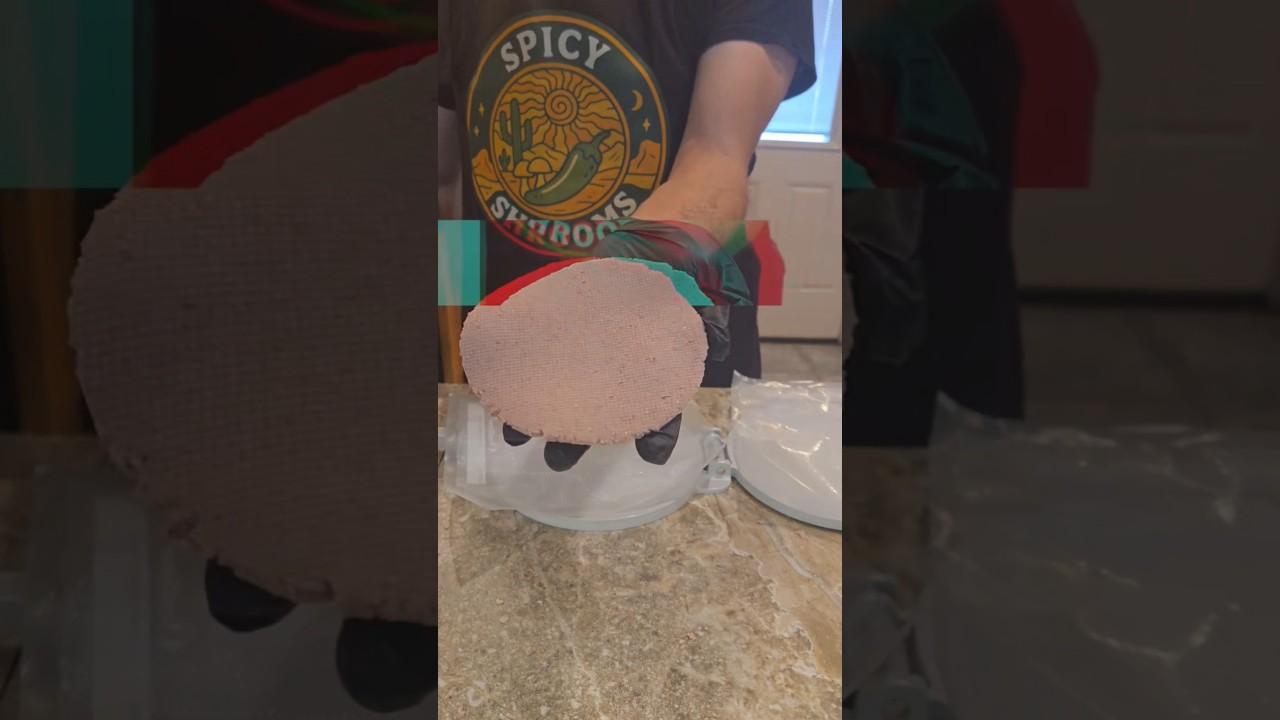 SIMPLE Tortilla Recipe (red heirloom masa)