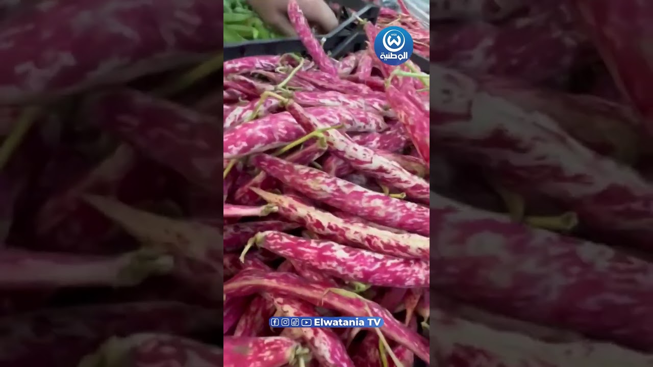 الخضر والفواكه الجزائرية تغزو الأسواق الكندية