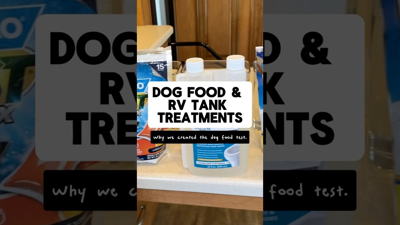 RV Holding Tank Treatments: Dog Food Test vs Real Life