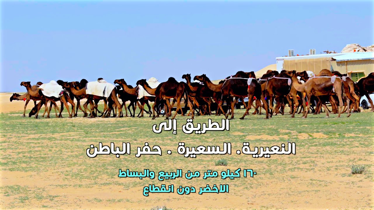 النعيرية السعيرة حفر الباطن   Al Nayiriyah Al Saira Hafr Al Batin
