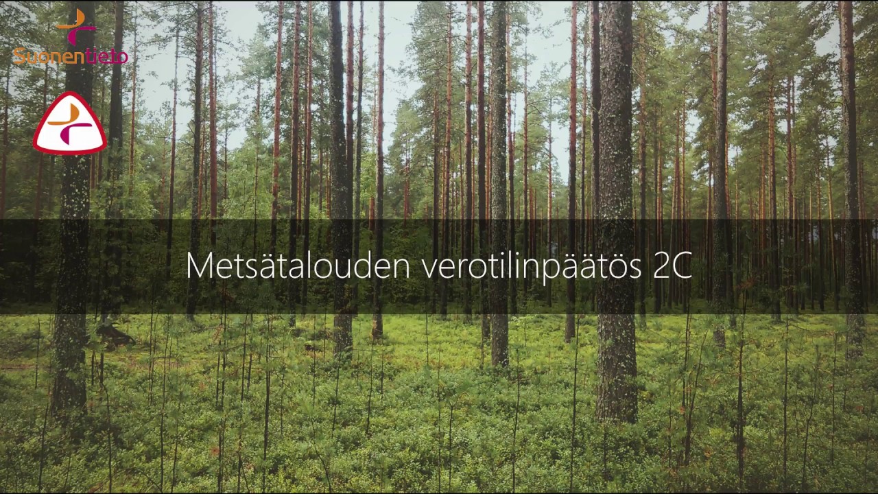 Metsätalouden verotilinpäätös 2C