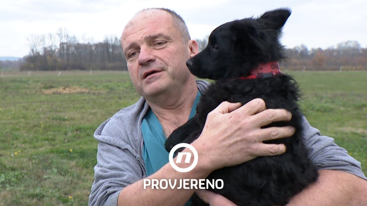 Pas Dule i veterinar Hrvoje: Emotivna priča koja mijenja pogled na život | Provjereno