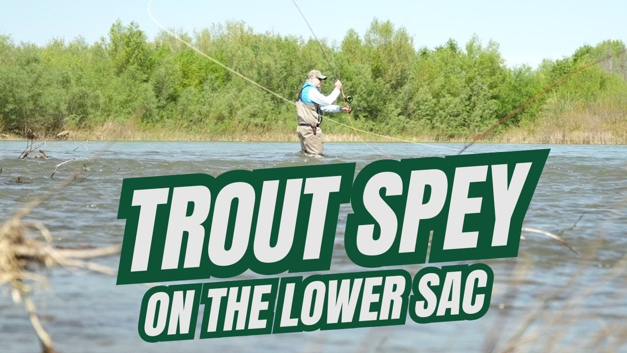 Fall Trout Spey on the Lower Sac || Confluence Outfitters