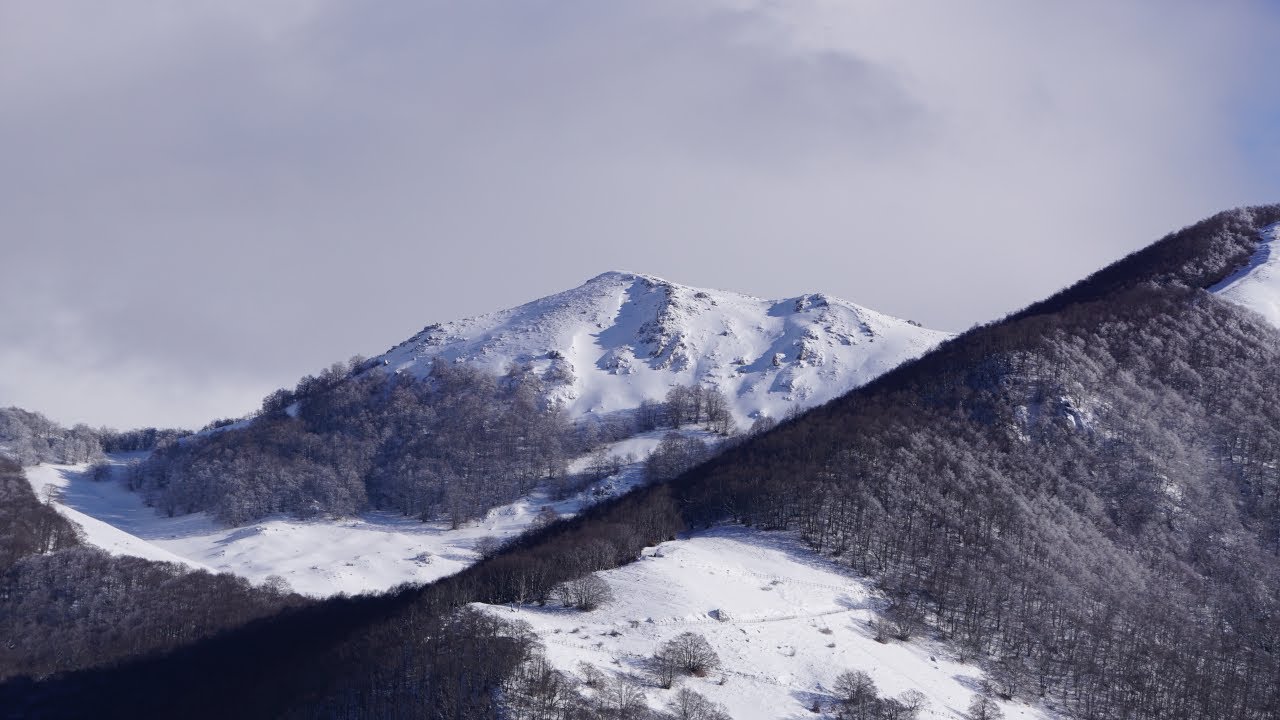 Sentiero Q1 Rifugio Orsa Maggiore - Colle Uomo PNALM