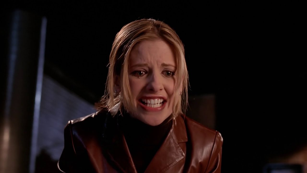 AllSpuffyScenes 6x13 Buffy & Spike - You always hurt the one you love, Pet.