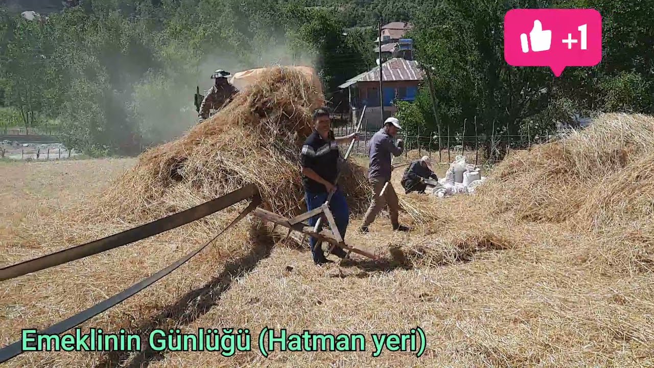 #Andırın #Kümbetir #Yaylasında #harman