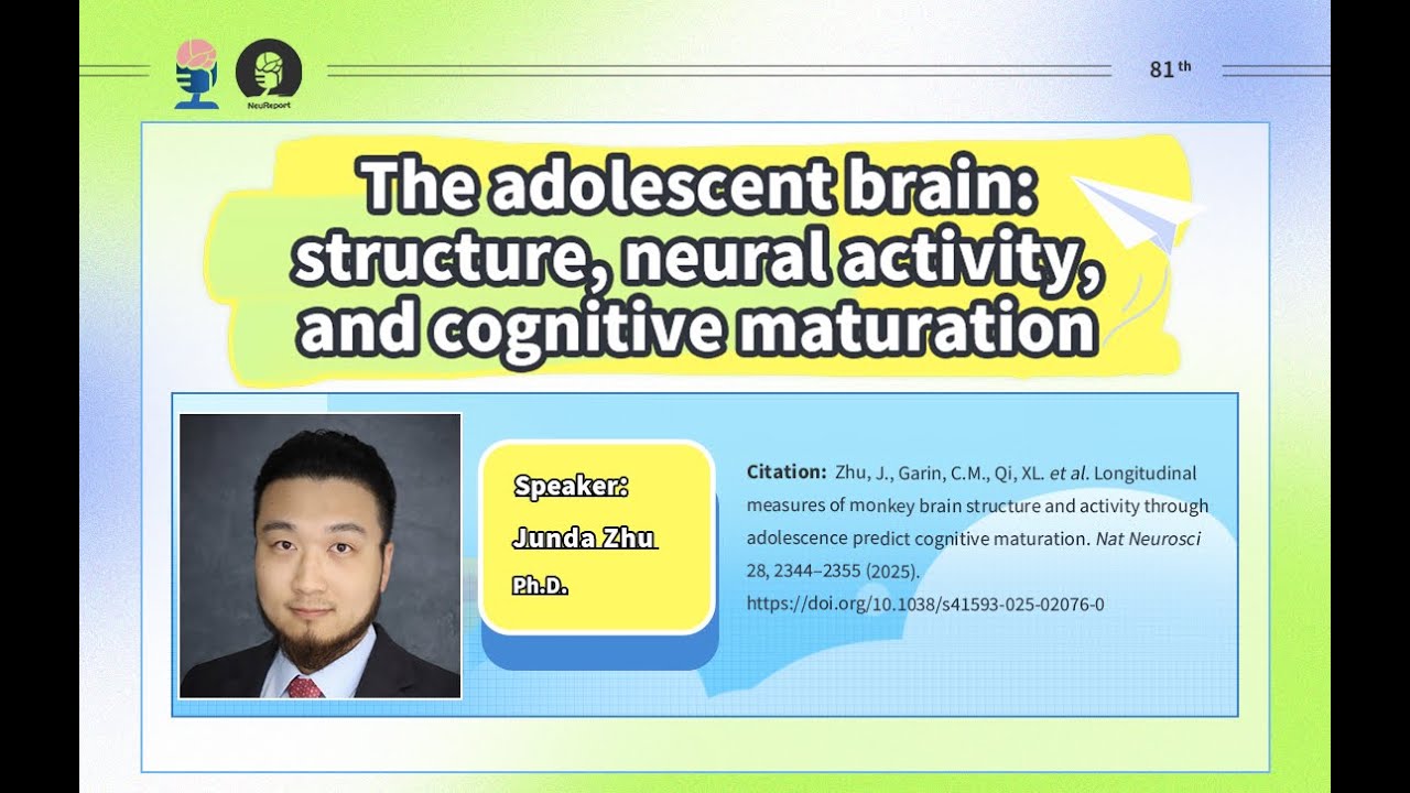 Neureport Vol.81｜The adolescent brain: structure, neural activity, and cognitive maturation