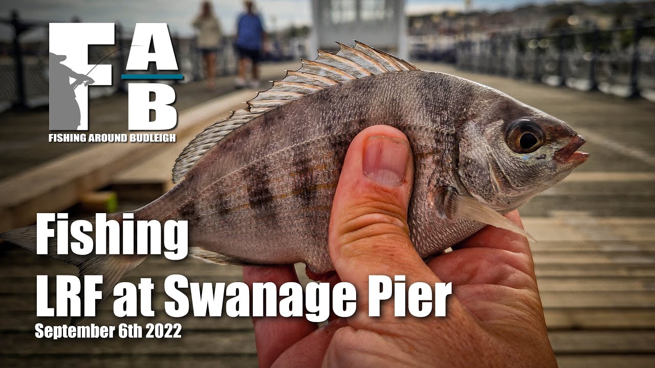 LRF Fishing at Swanage Pier - September 6th 2022