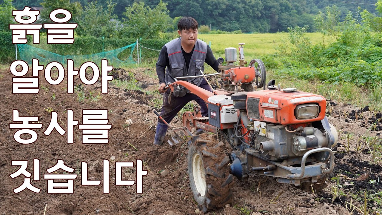 삼모작 하는 마늘 밭 준비