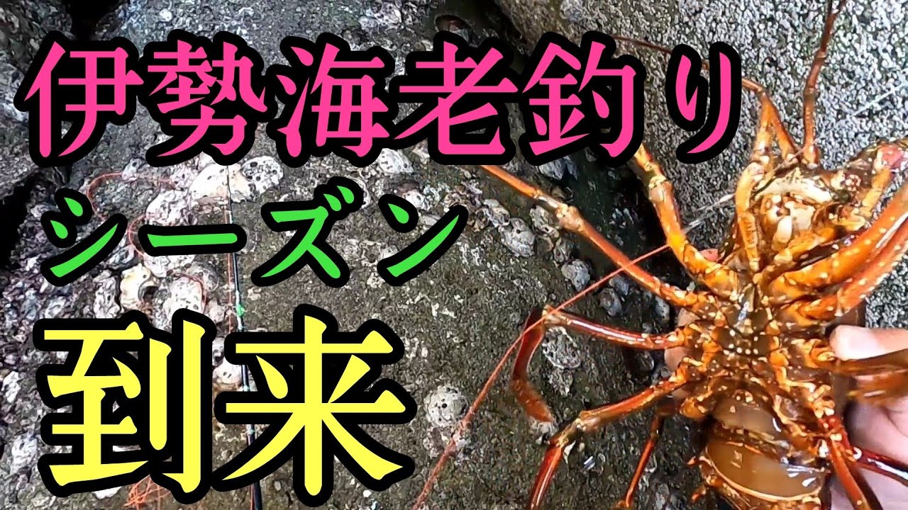 伊勢海老釣り釣行第１回目