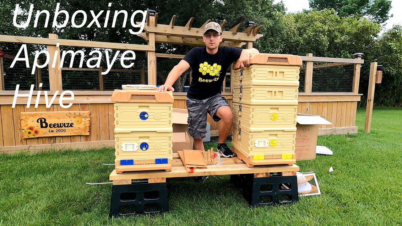 Unboxing Apimaye Hive