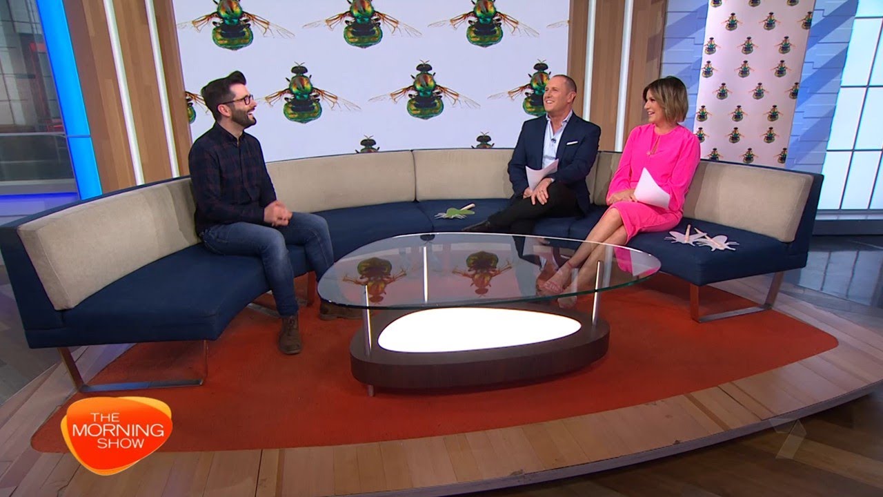Why we should love flies on The Morning Show