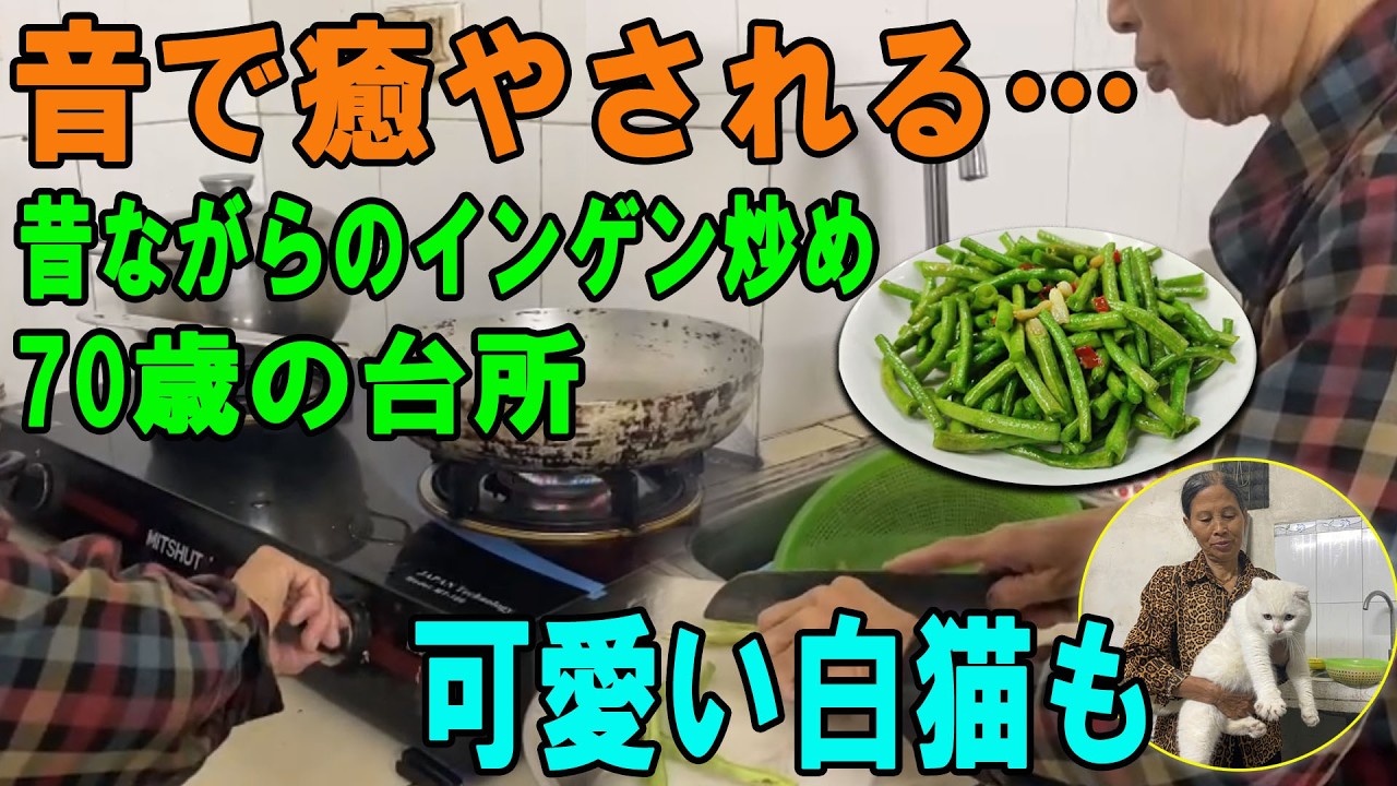 【70歳の台所】聴くだけで心癒やされる…。白猫と過ごす穏やかな時間と、昔ながらの絶品「インゲンの肉炒め」【ASMR】