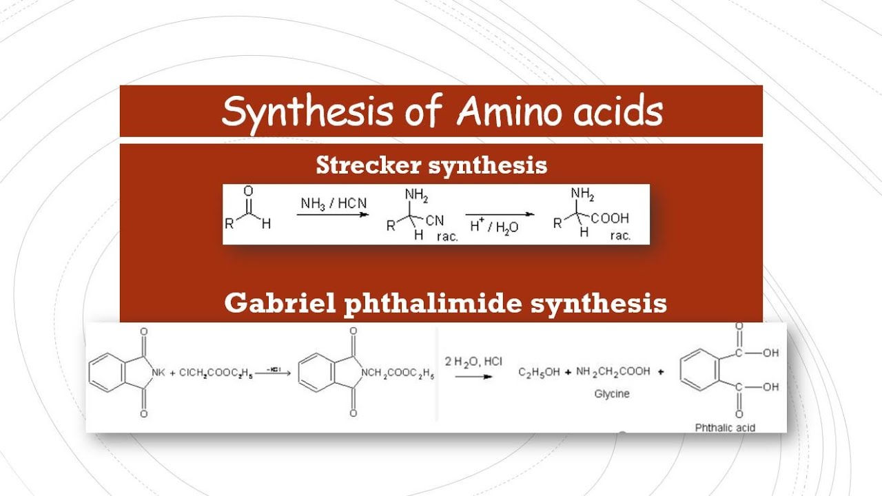Strecker synthesis and Gabriel phthalimide synthesis | Synthesis of Amino Acids