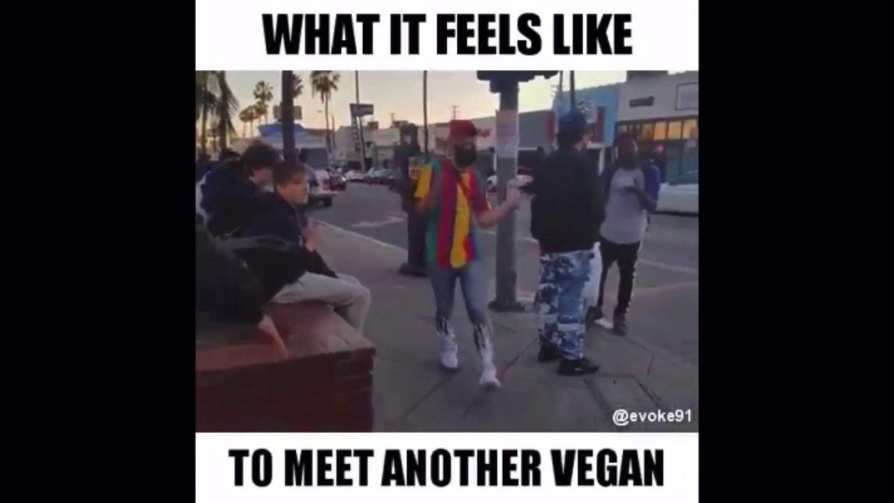What It Feels Like To Meet Another Vegan Meme