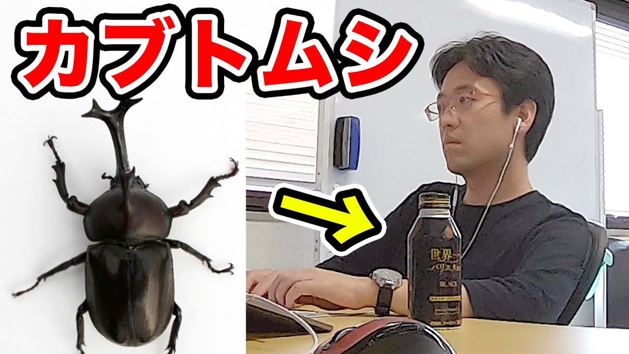 【ドッキリ】コーヒーの底が抜けてカブトムシが出てくるドッキリ