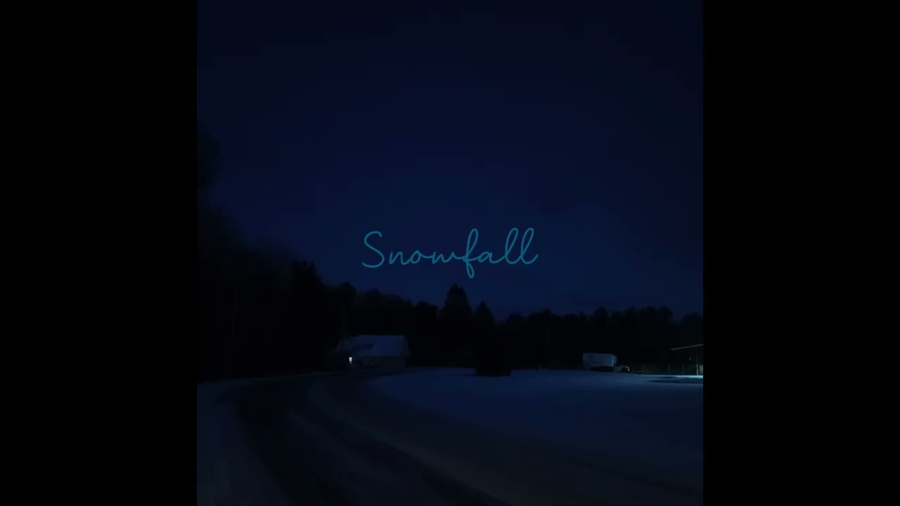 Snowfall - Storm Figg