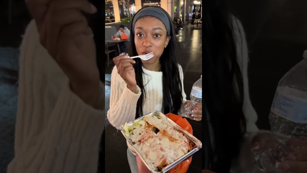 Day 1 Trying every halal cart in NYC. This is Adels halal food.