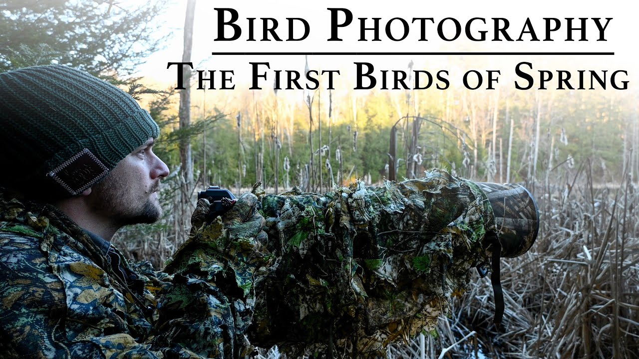 Bird Photography: The First Birds of Spring | Nikon Z9