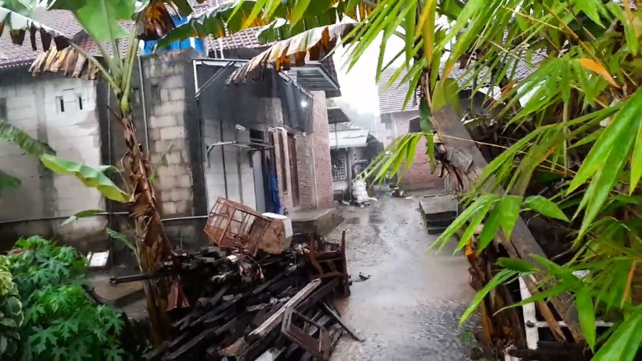 Umbrella  @Tari Luhur