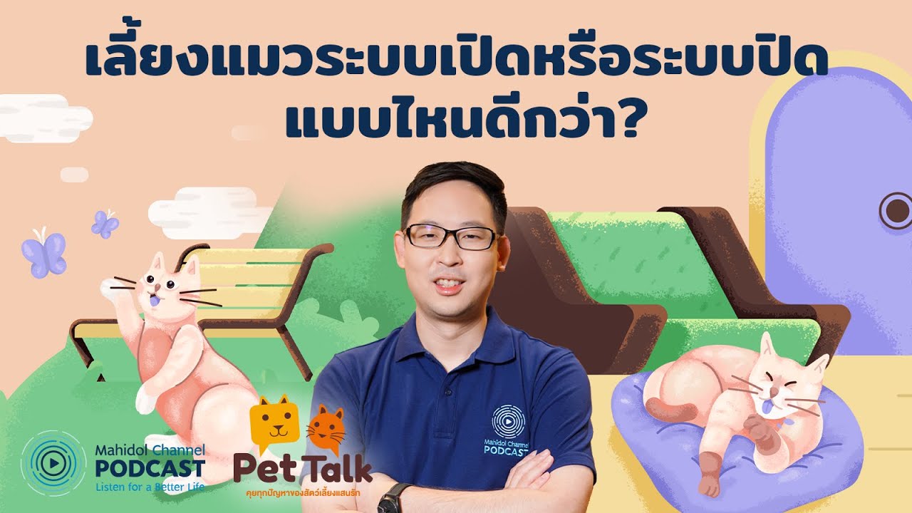 [PODCAST] Pet Talk | EP.10 - เลี้ยงแมวระบบเปิดหรือระบบปิด แบบไหนดีกว่า?