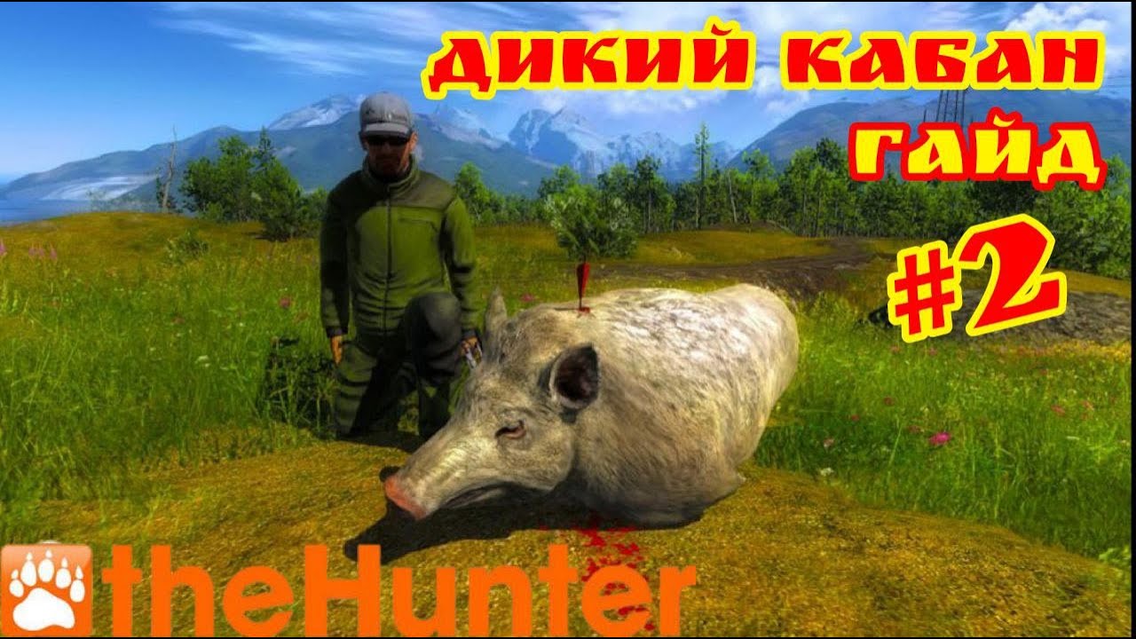 theHunter Classic/Охота на Дикого Кабана/Гайд #2