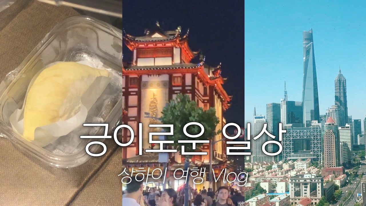 [vlog] 돌아온 긍이로그 / 상하이 여행 / 장하오에 빙의해서 두리안 먹기 / 디즈니랜드 주토피아 / 동방명주 전망대 야경 / 헌저우이치엔 양꼬치 / 중국 현지 하이디라오 방문