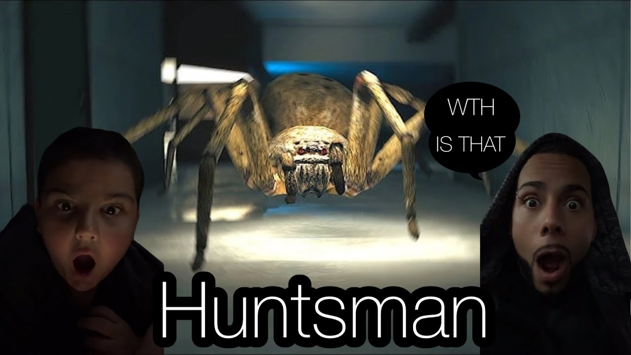 ESCAPE THE RUNNING SPIDER HUNTSMAN 