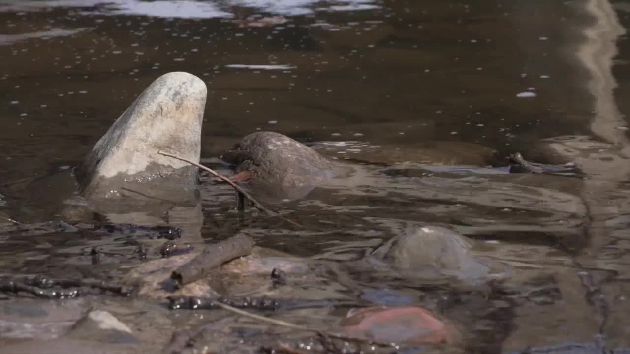 City water vs. private wells: What Cascade neighbors need to know amid PFAS sampling