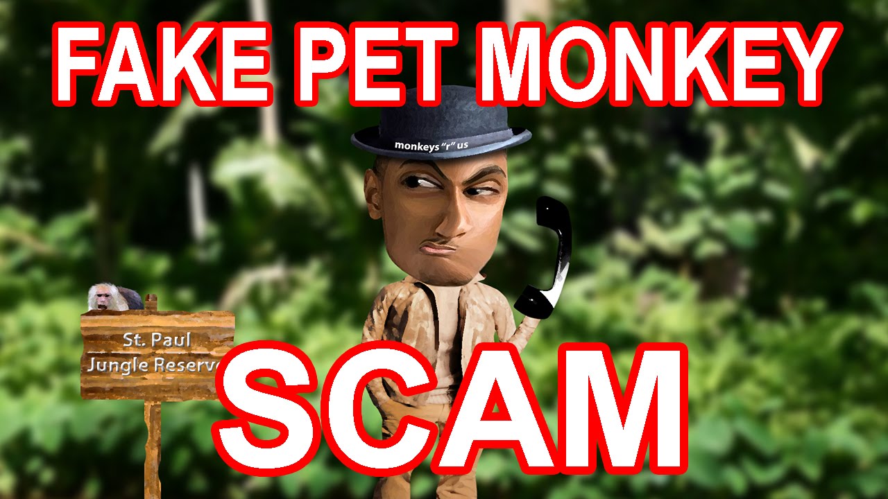 Exposing Ridiculous Fake Pet Scammers - The Hoax Hotel