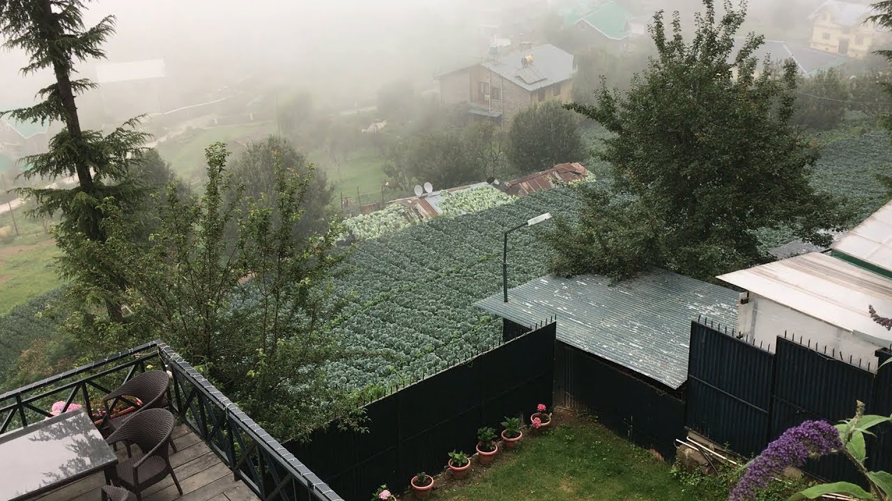 Mahasu- Ocider goes to the hills- Mashobra Himachal Pradesh