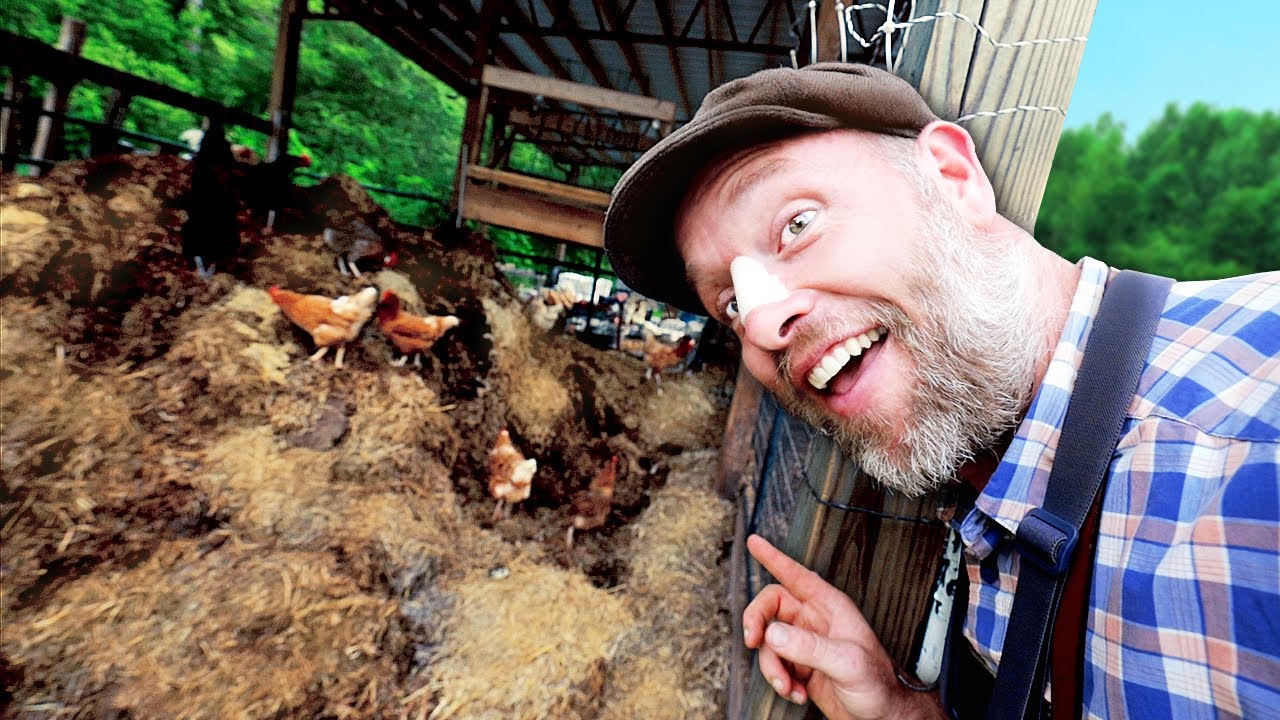 Next Level Chicken Compost System