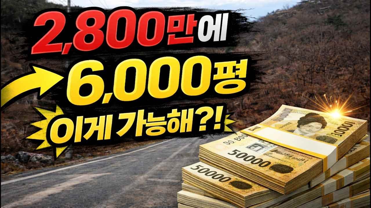 “나만의 숲속 캠핑 공간, 2,800만 원이면 가능합니다 (전기·도로)”땅 한평 4,600원 이 가격에 이런 조건은 볼수 없습니다~가성비 경북 임야 매물