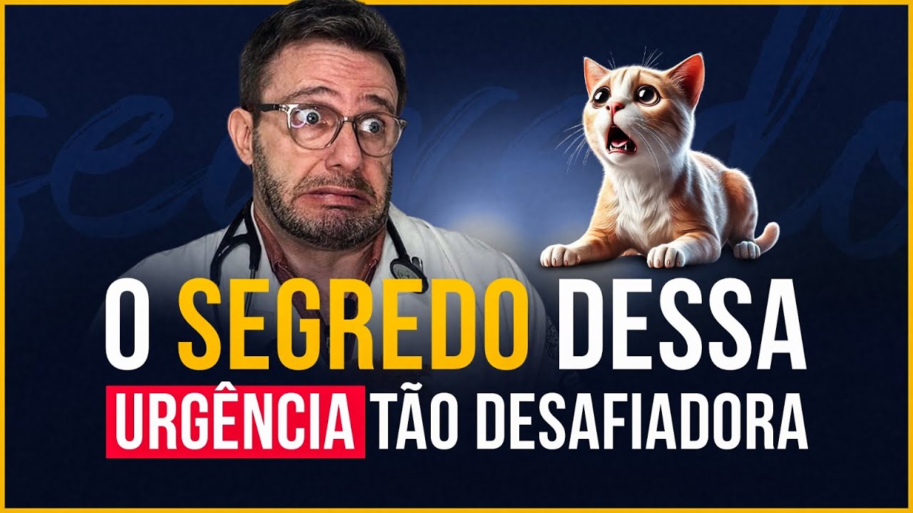 Diferença do edema pulmonar cardiogênico e não cardiogênico em cães e gatos