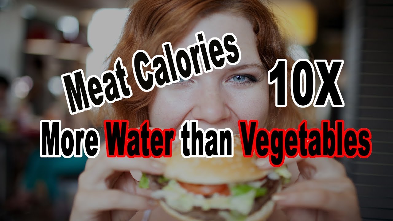 A Calorie Of Meat Takes 10 Times As Much Water As A Vegetable Product