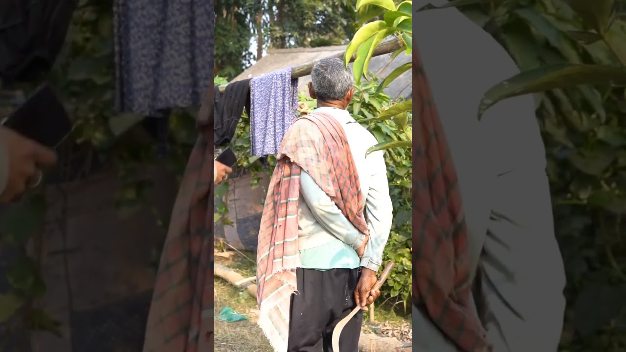 দাদুর আমার মুরগি ধরে দিতেই হবে!😂  || পার্ট-২ || #prankvideo #funny #comedy  #virals #foryoupageシ