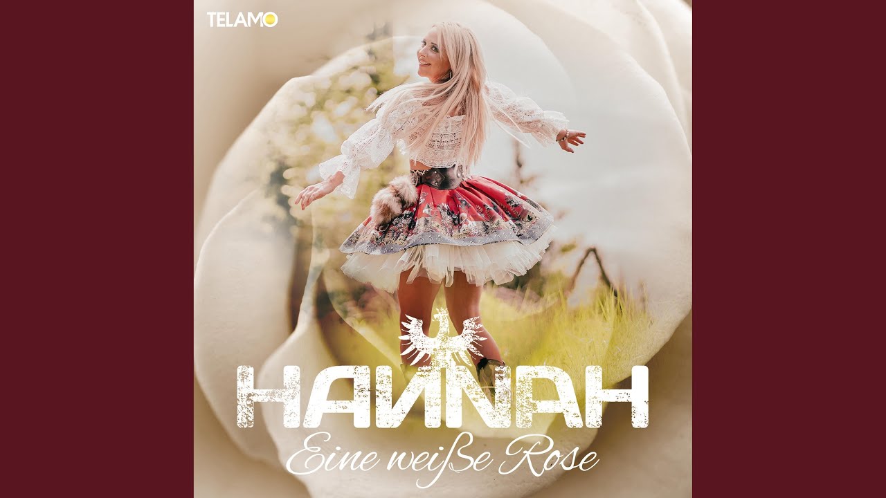 Eine weiße Rose