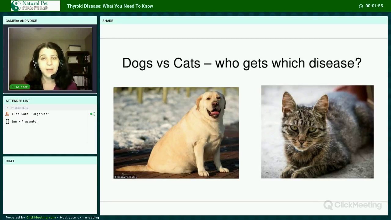 Canine and Feline Thyroid Disease Webinar