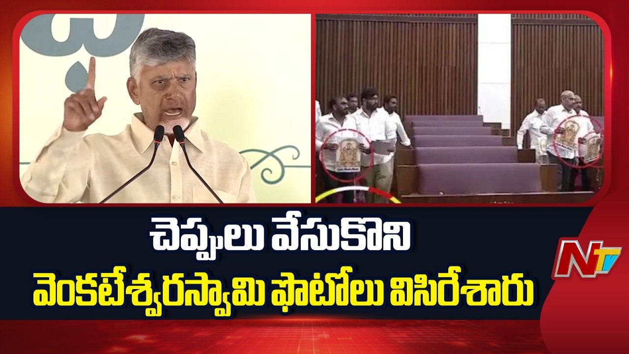 CM Chandrababu Fires On YSRCP MLCs | NTV Telugu