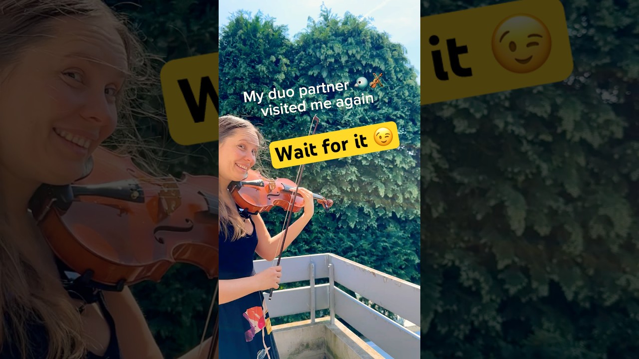 Bird Reacts to Violin again 🐦🎻 - Part 2 of the Viral Duet! Wait for it! #violinist #smartbirds