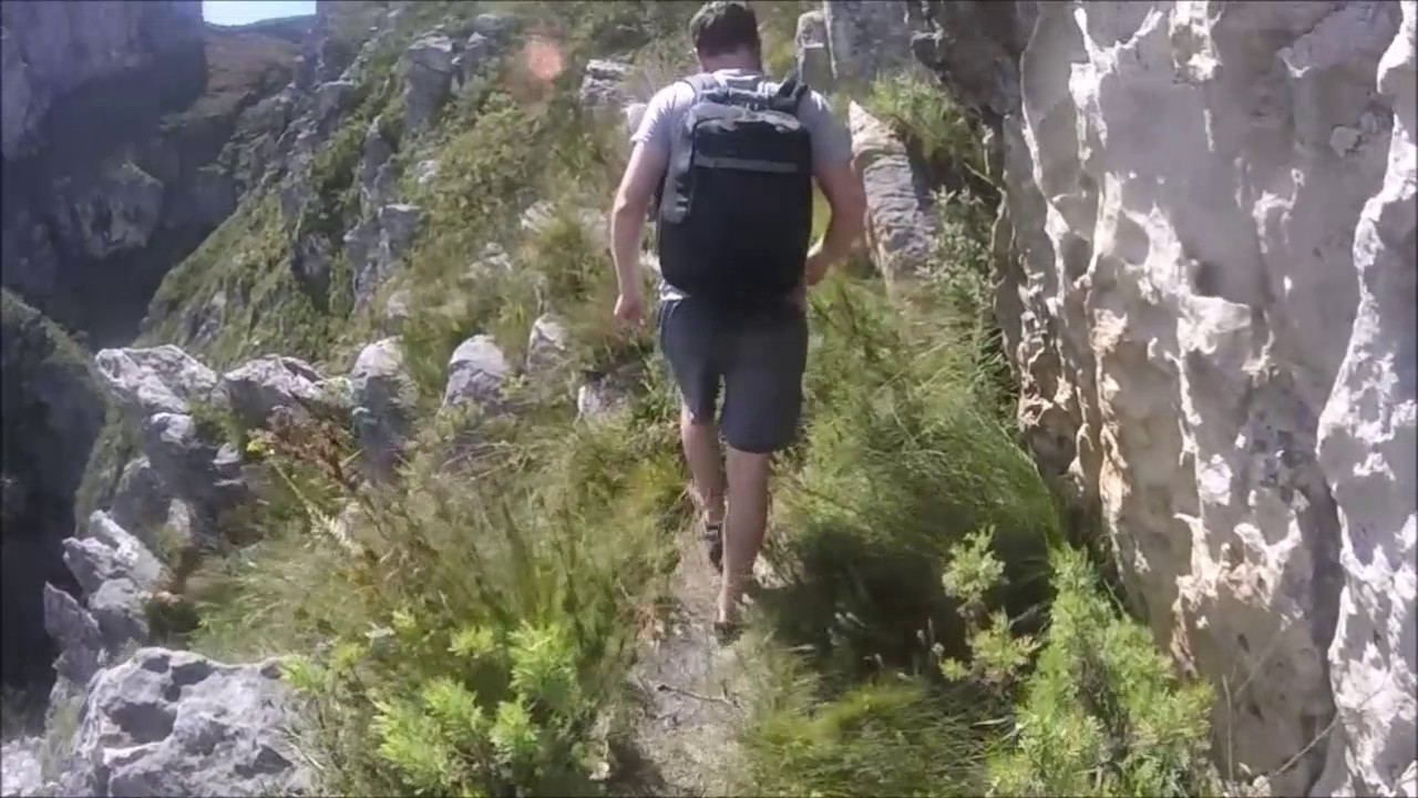 Twaalfuurkop