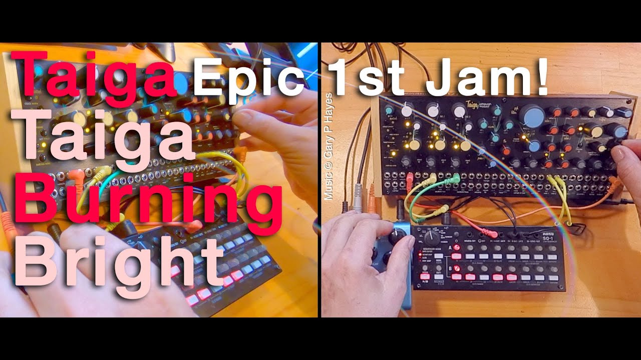 Epic Jam -.Taiga Taiga Burning Bright, Pittsburgh Modular Taiga feat: SQ1 + Strymon Blue Sky