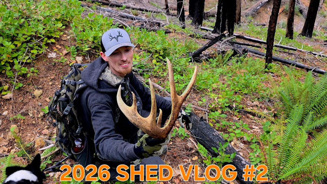 2026 SHED VLOG #2
