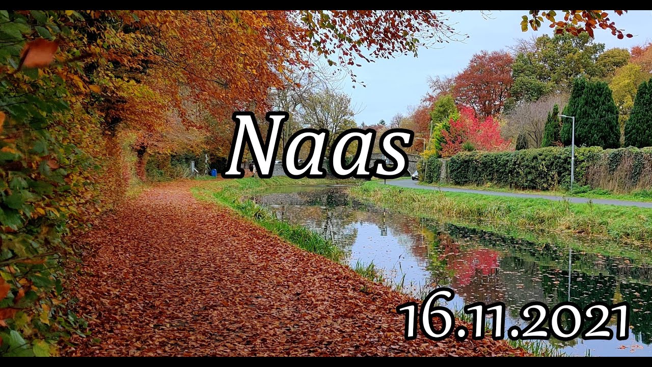 Ирландия / Naas в ноябре/ Графство Килдэр