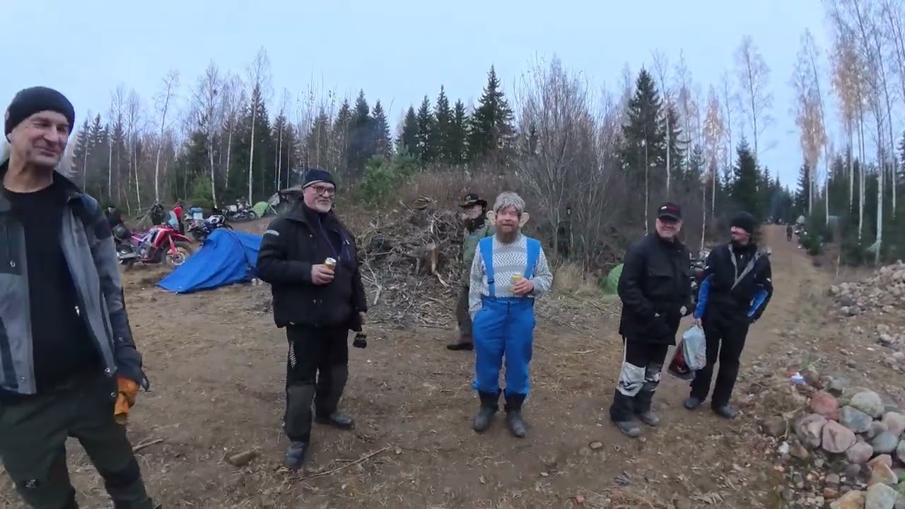 Pystymettä Asikkala 2024